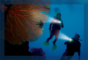 PADI Specialty Courses Deep Diver