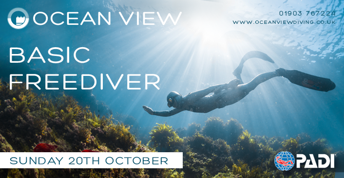 Basic Freediver October 2019