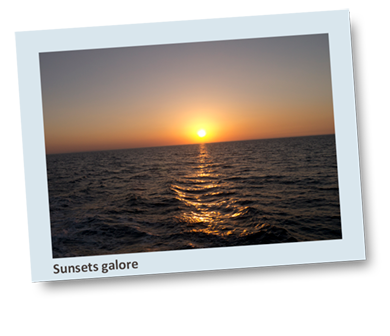 Ocean View Red Sea Liveaboard Polaroid 7