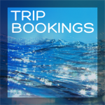 Trip Bookings