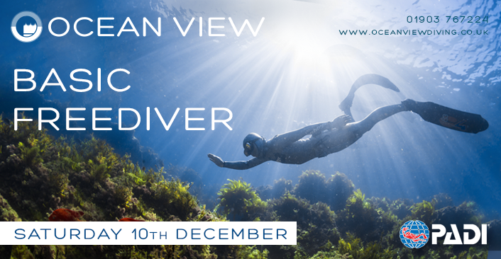 Freediver 10th December 2022