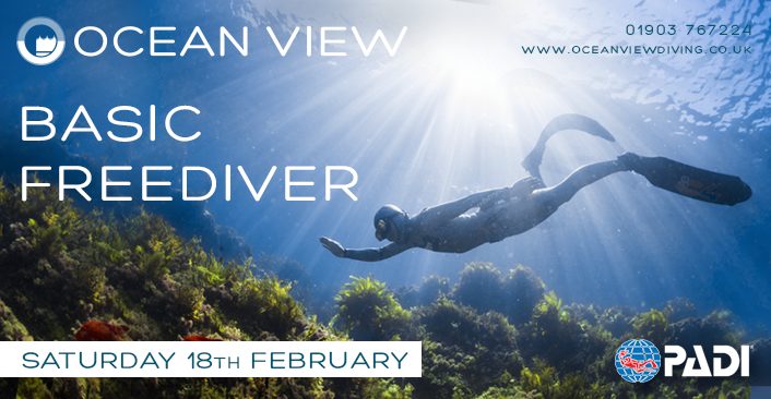 Basic Freediver February 2023