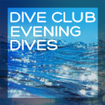Evening Dives