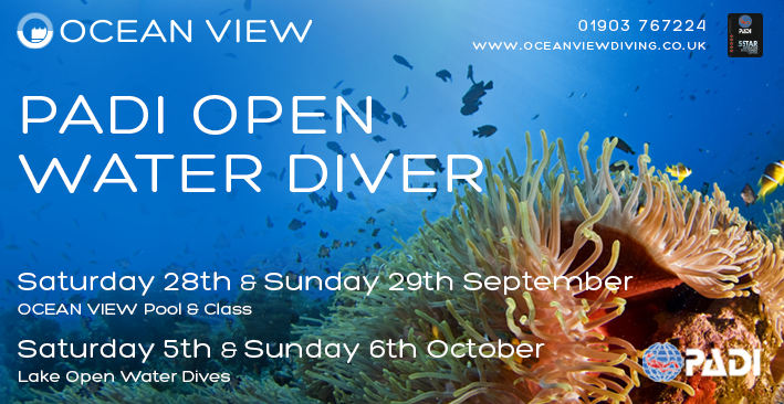 Open Water Diver Course Sept Oct 2024