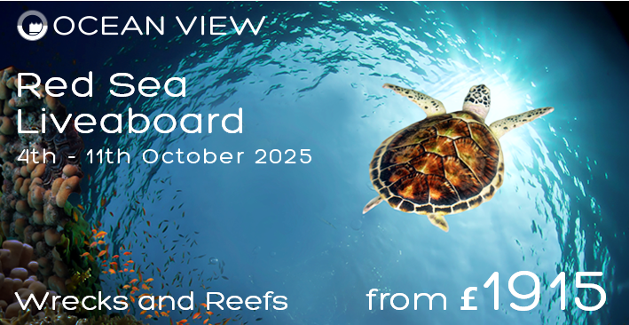 Ocean View Red Sea Liveaboard 2025