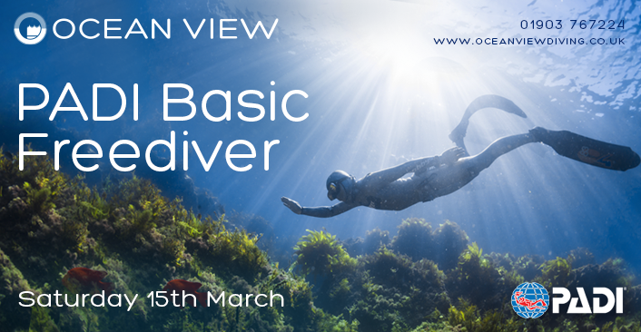 Basic Freediver March 2025