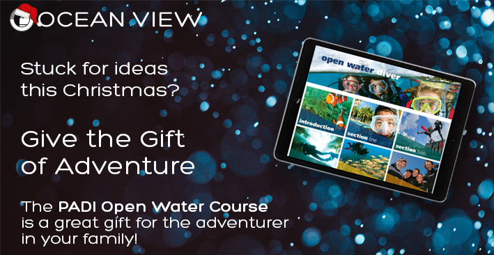 Christmas Gift Open Water Course 2024